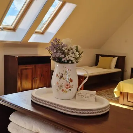 Guest house Gracia 2*
